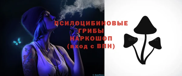 МДПВ Абдулино