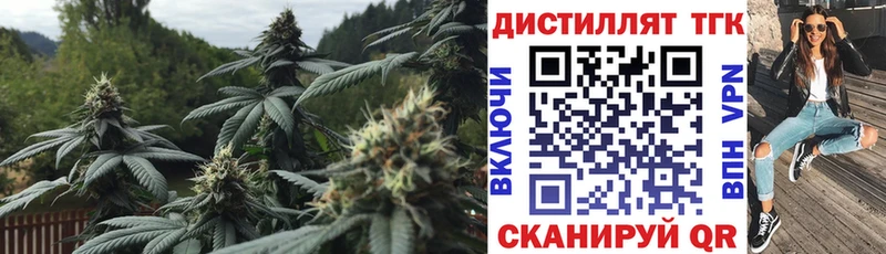 магазин    Лабытнанги  Дистиллят ТГК жижа 